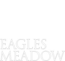 EM-logo