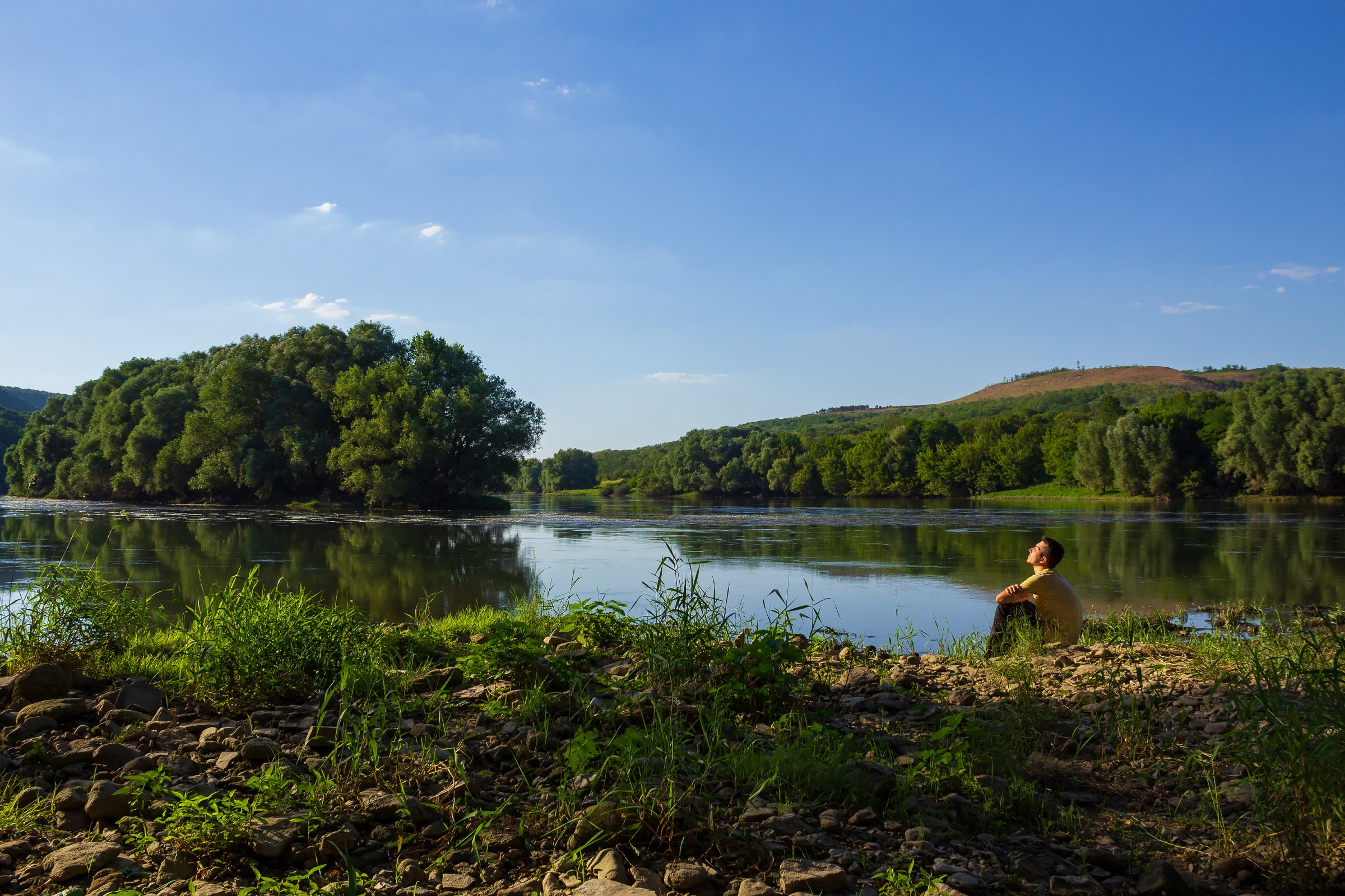 Supporting Conservation with Shropshire Wildlife Trust